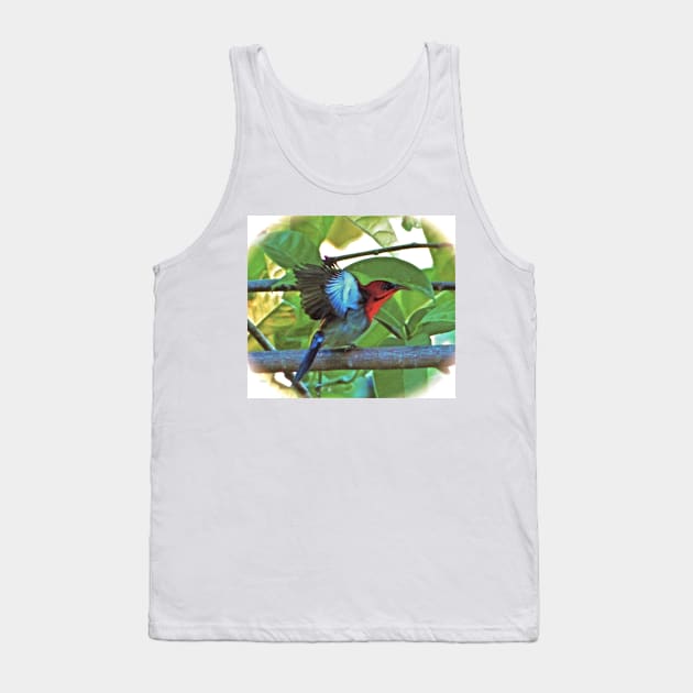 EASTERN CRIMSON SUNBIRD ART Tank Top by dumbodancer